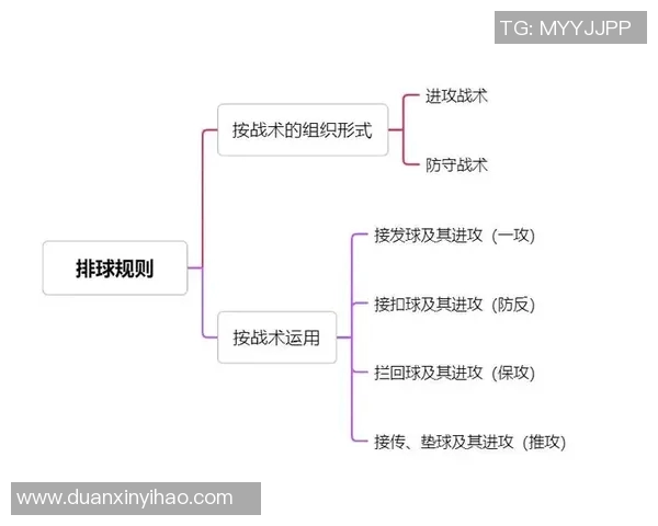 杭州排球队战术解析：构建高效控制体系的实践与思考