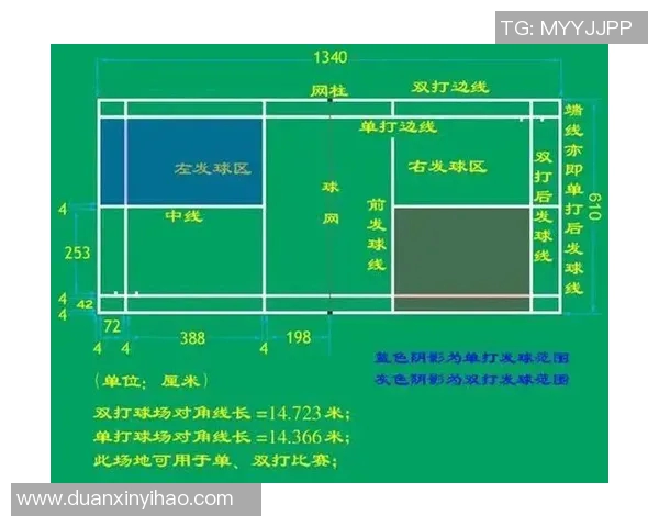 杭州排球队比赛经验深度对比分析及其对未来发展的影响探讨 杭州排球队比赛经验深度对比分析及其对未来发展的影响探讨