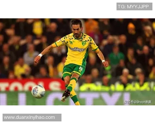 诺维奇主场迎战史蒂文全力争胜双方实力对比引人关注