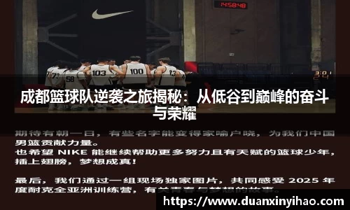 今年会平台入口